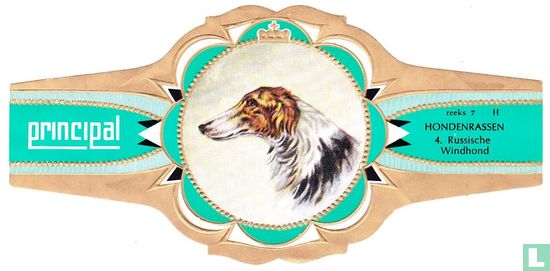 Russische Windhund - Bild 1