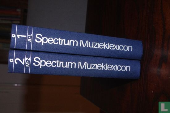 4Spectrum Muzieklexicon - Afbeelding 2
