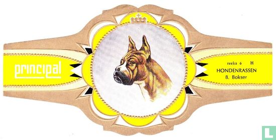 Boxer - Image 1