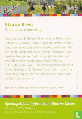 Blauwe Bever - Image 2