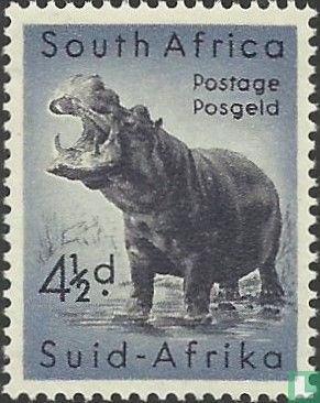 Afrique du Sud de la faune