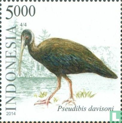 Indonesische zeevogels