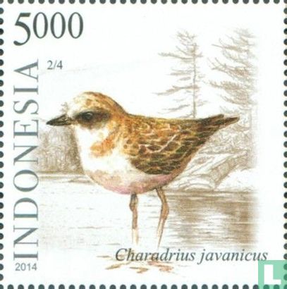 Indonesische zeevogels