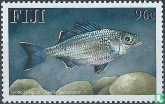 Native freshwater fish