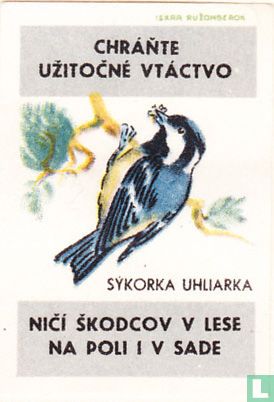Sykorka uhliarka - Image 1