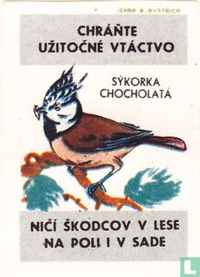 Sykorka chocholata - Image 1