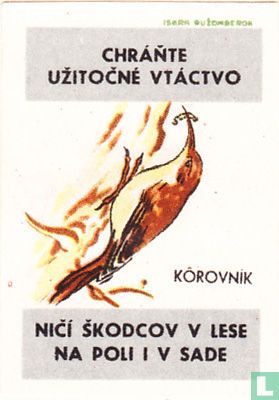 Korovnik - Image 1