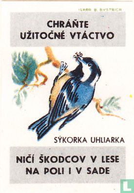 Sykorka uhliarka - Image 1