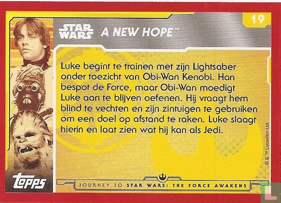 Han en Obi-Wan kijken hoe Luke traint - Afbeelding 2