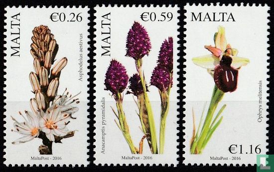 Maltese flora