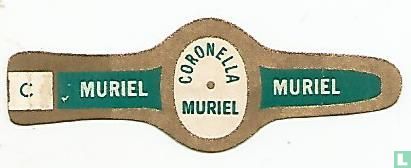 Coronella Muriel - Muriel - Muriel - Afbeelding 1