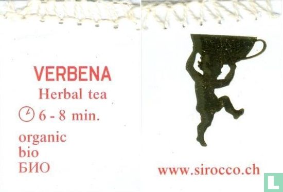 Verbena - Image 3