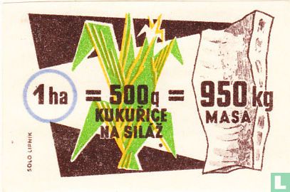 1 ha = 500g kukurice na silaz = 950 kg masa - Afbeelding 1