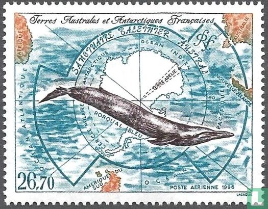 Sanctuaire baleinier de l'océan Austral