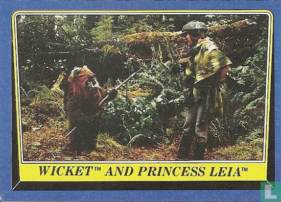 Wicket and prinses - Afbeelding 1