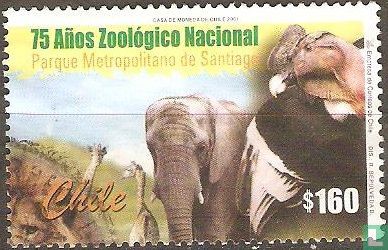 75 ans du zoo de Santiago