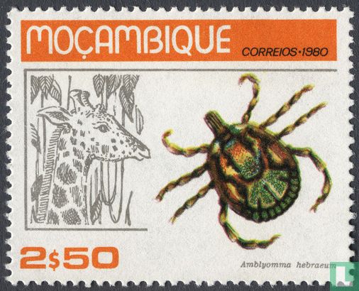 Ticks and their host animals