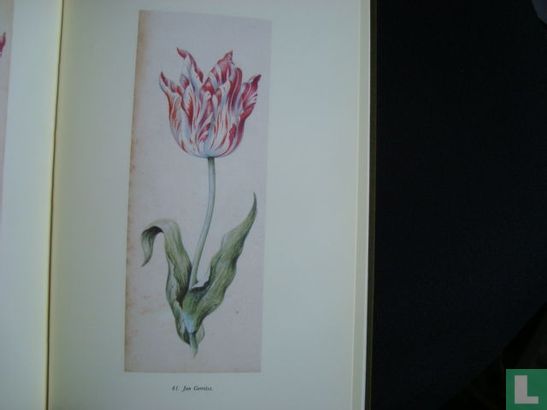 Tulips by Anthony Claesz - Afbeelding 3