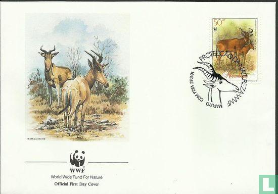 Lichtenstein antelope