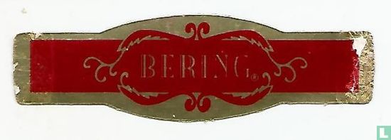 Bering R - Bild 1