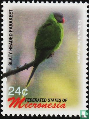 Birds