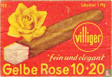 villiger Gelbe Rose 10+ 20