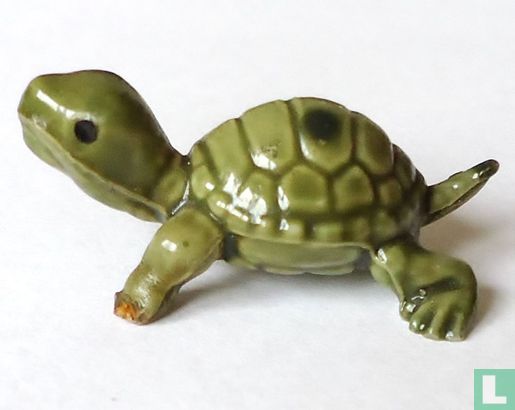 Schildpad (klein)