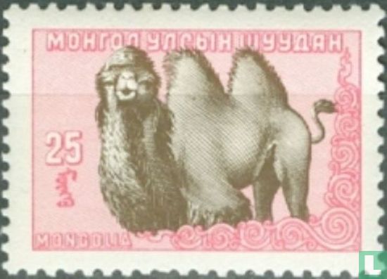 Animaux de Mongolie