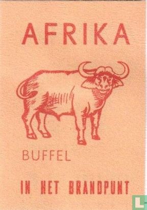 Afrika in het brandpunt    - Afbeelding 1
