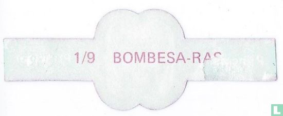 Bombesa race - Image 2