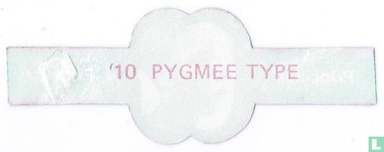 Pygmy type - Image 2