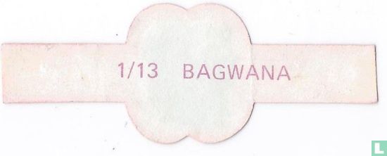 Bagwana - Image 2