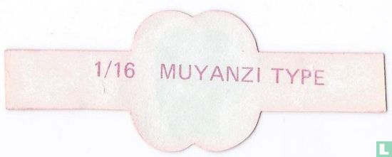 Muyanzi type - Image 2