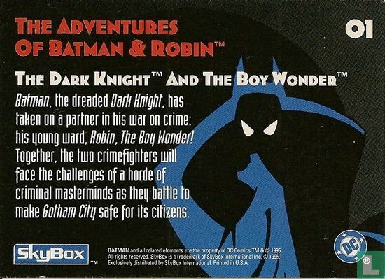 The Dark Knight and The Boy Wonder - Afbeelding 2