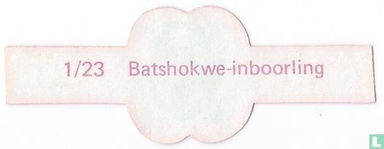Batshokwe aborigine - Image 2