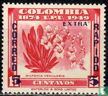 Miltonia vexillaria met opdruk