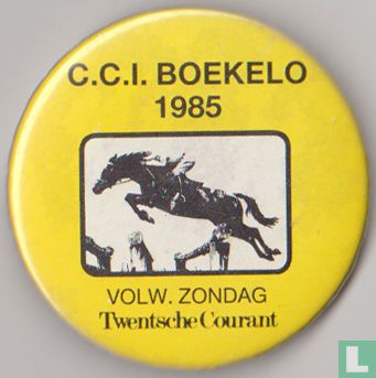 C.C.I. Boekelo 1985 (geel)