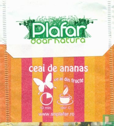 ceai de ananas - Image 2