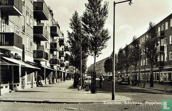 Rotterdam, Schiebroek, Peppelweg - Afbeelding 1