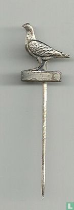 Duif - Image 1