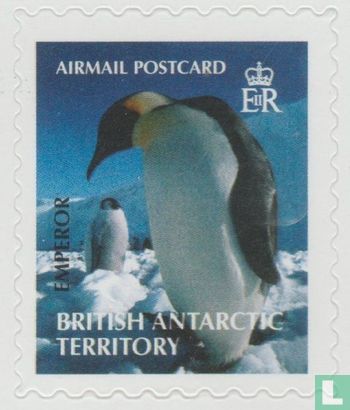 Pinguïns van Antarctica