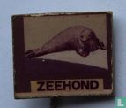 Zeehond