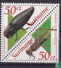Beetles - Image 1