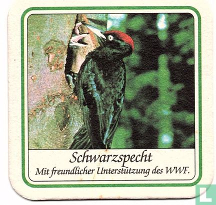 Schwarzspecht - Afbeelding 1