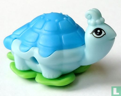 Schildkröte - Bild 1