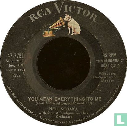 You mean everything to me - Afbeelding 2