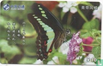 Butterfly - Image 1