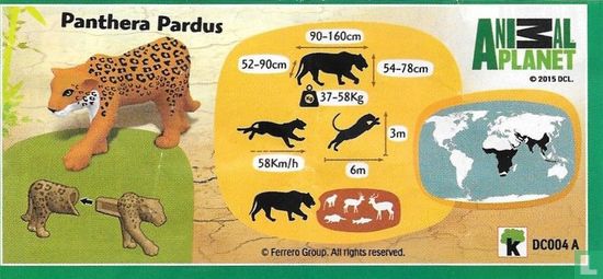 Panthera Pardus - Image 3
