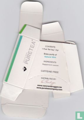 Natural Mint - Image 2