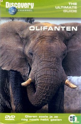 Olifanten - Image 1